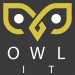 owl-it-logo-grey